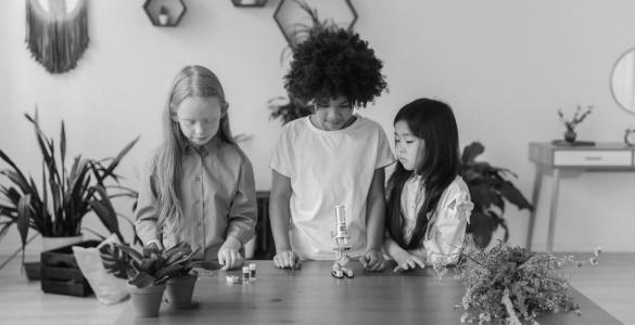 Three kids looking at plants