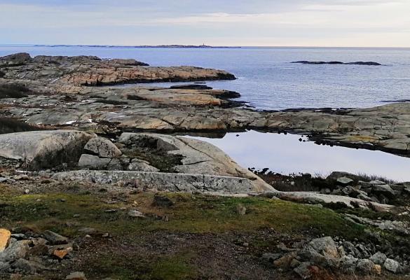 sea-surrounded-by-rocks-covered-branches-cloudy-sky