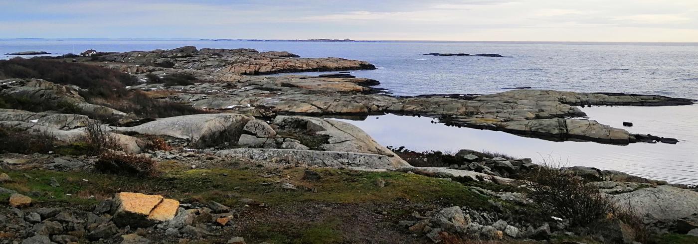 sea-surrounded-by-rocks-covered-branches-cloudy-sky